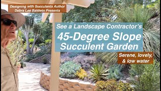 See a Landscape Contractors 45Degree Slope Succulent Garden [upl. by Amsden]