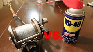 The TRUTH of WD40 vs Fishing Reels [upl. by Janicki]