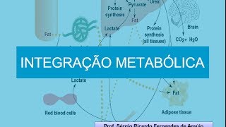 Curso de Bioquimica Integração Metabólica [upl. by Maridel]