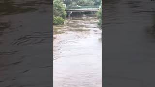 Yarra Glen Water Levels Going Up [upl. by Eisset]