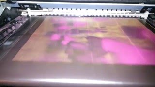 Epson AcuLaser C1100  формирование изображения [upl. by Barbey853]