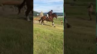 Rebecca Farm Horse Trial [upl. by Fidellas]