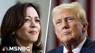 Kamala Harris erases Trumps swing state lead in new poll resetting race [upl. by Nov]