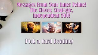 MESSAGES FROM YOUR CLEVER INDEPENDENT INNER FELINE PICK A CARD READING [upl. by Zenda155]