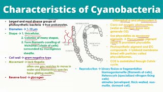 Characteristics of Cyanobacteria  Blue Green Algae [upl. by Llenwad53]