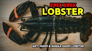 EREK EREK LOBSTER 2D 3D 4D amp ARTI MIMPI TENTANG LOBSTER [upl. by Ynnattirb]