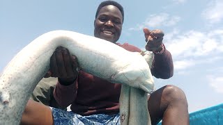 Everything You Need to Know About Fishing in Lake Baringo in Kenya [upl. by Relluf]