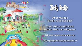 Zielig liedje  Meezingvideo [upl. by Corkhill328]