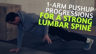 1arm Pushup Progressions Get your first OAPU [upl. by Assenej]