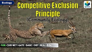 COMPETITIVE EXCLUSION PRINCIPLE  Community Ecology  For CSIRNETGATE [upl. by Lladnik924]