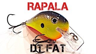 Lure Review Rapala DT Fat [upl. by Norit]