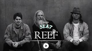 REEF live at Sea7 [upl. by Afaw]