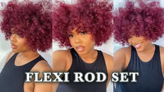 HOW TO Quick amp Easy FLEXI ROD SET on DRY HAIR  NATURAL HAIR 4a3c [upl. by Acinorrev926]