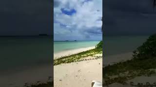 Albany beach Bahamas II momiBetzAlcaraz Official shorts shortvideo sea nature travel [upl. by Aeynod]