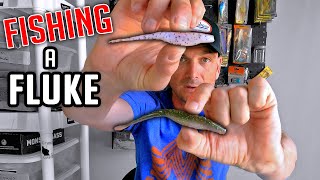 The ONLY Lure you NEED to Catch Bass FLUKE Fishing [upl. by Thetisa]