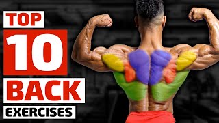 Top Trainers Agree These are the 10 Best Exercises for Building a Bigger Back [upl. by Jard]