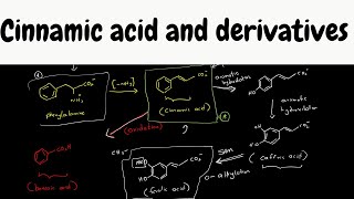 cinnamic acid biosynthesis  biosynthesis part 9 [upl. by Cotter]