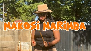 Makosi Plays Marimba Music indigenous to Africa [upl. by Eceinal]