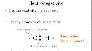 How To Tell if a Bond is Polar or Nonpolar the super easy way [upl. by Aieki]