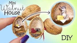 Miniature Dollhouse In A Walnut Tutorial  DIY Mouse House [upl. by Ahcropal]