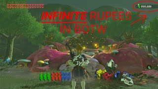 How to Get INFINITE Rupees in Breath of the Wild Infinite Rupee Glitch [upl. by Amme]